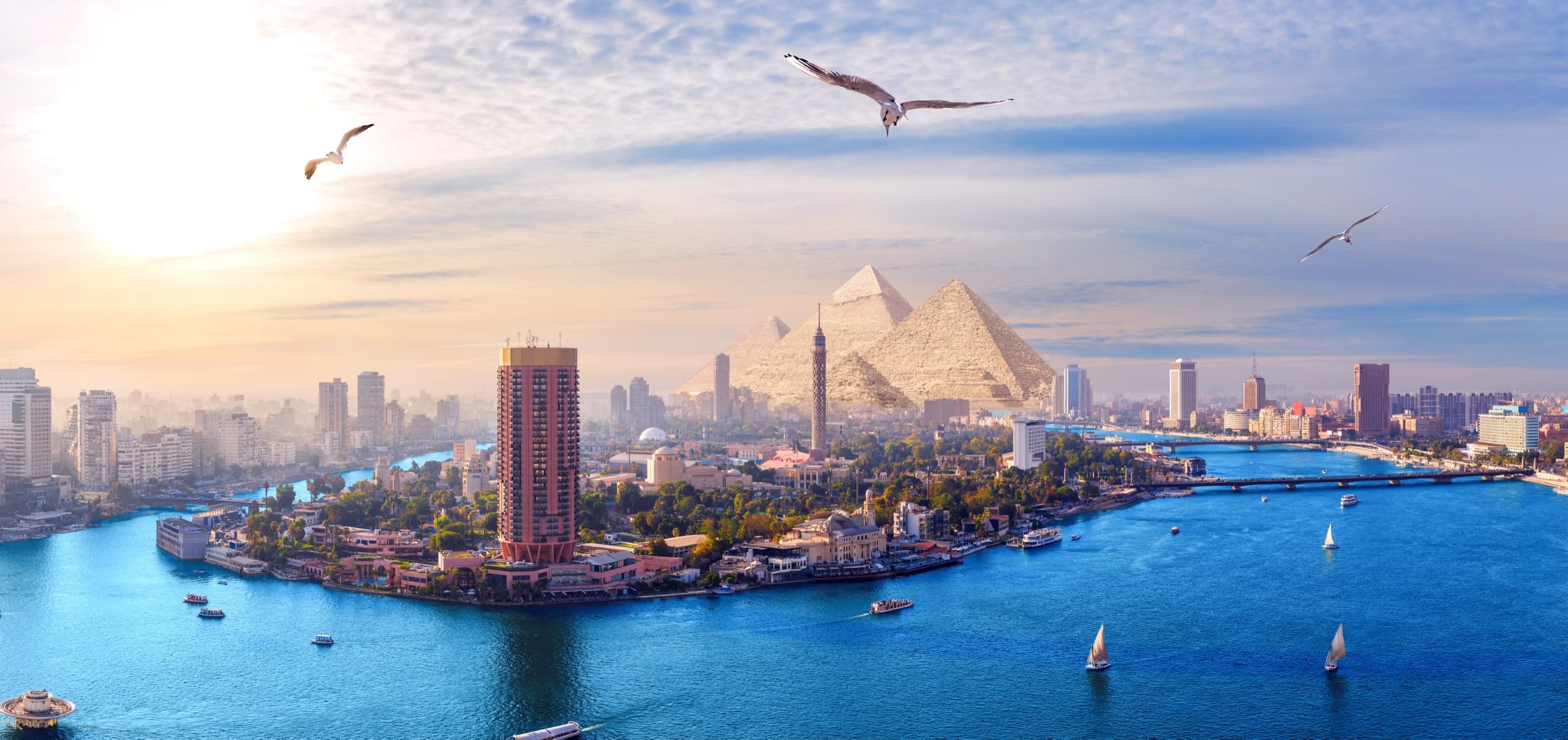 Egypt office location